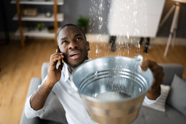 Best Professional water damage repair  in New Windsor, MD