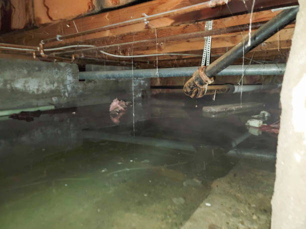 Best Water damage restoration company  in New Windsor, MD