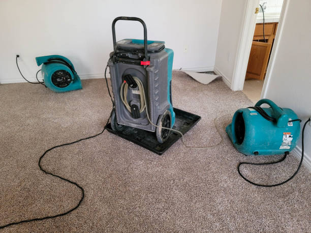Best Mold removal after water damage  in New Windsor, MD