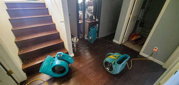 Best Carpet water damage restoration  in New Windsor, MD