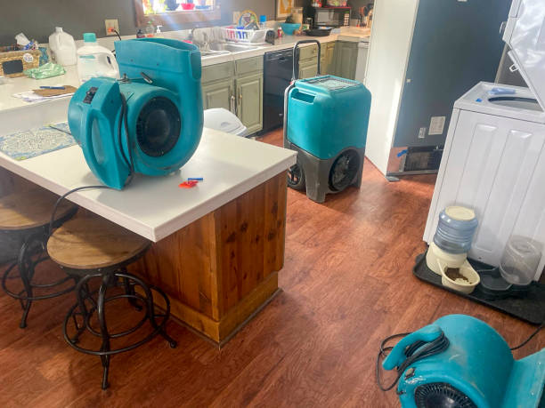 Best Sewage cleanup and water damage restoration  in New Windsor, MD