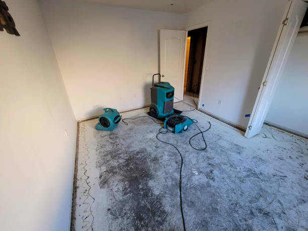 Water damage restoration insurance claims in New Windsor, MD