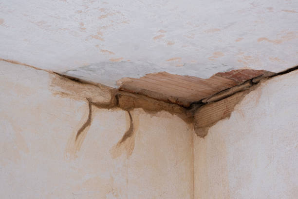 Best Water damage restoration near me  in New Windsor, MD