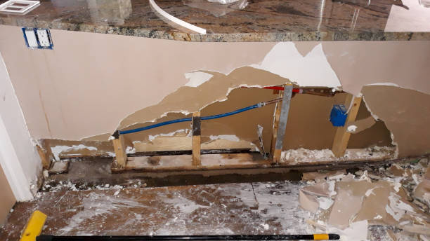 Best Water damage cleanup near me  in New Windsor, MD