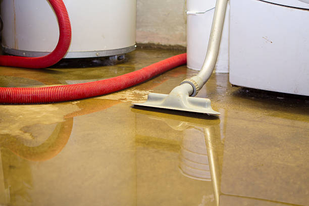 Best Fire Damage Restoration  in New Windsor, MD