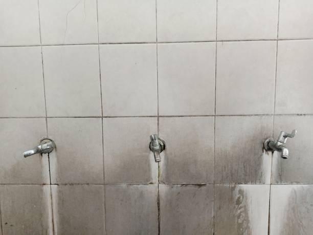Best Water damage contractors near me  in New Windsor, MD