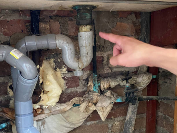Best Water damage restoration near me  in New Windsor, MD