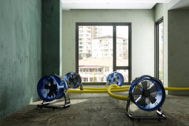Best Water damage restoration specialists  in New Windsor, MD