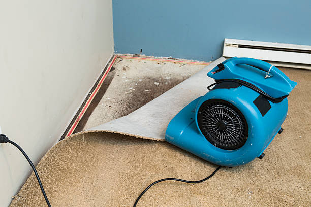 Best Flood restoration services  in New Windsor, MD
